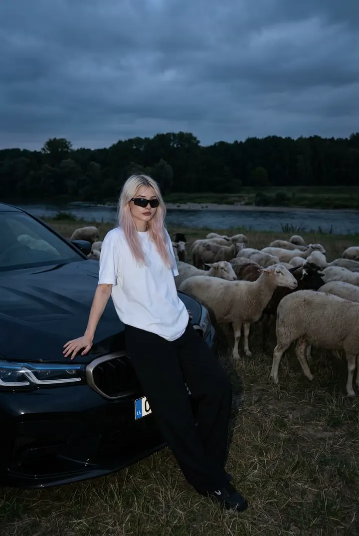 Девушка у BMW в поле с овцами в сумерках